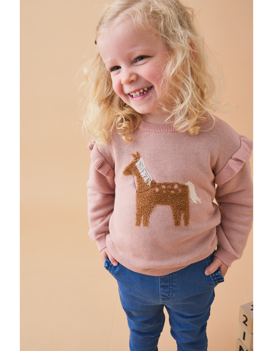 Pull en tricot, cheval