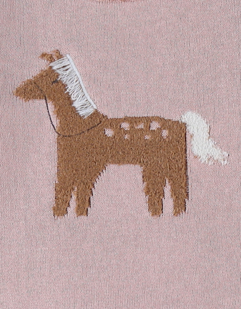 Pull en tricot, cheval