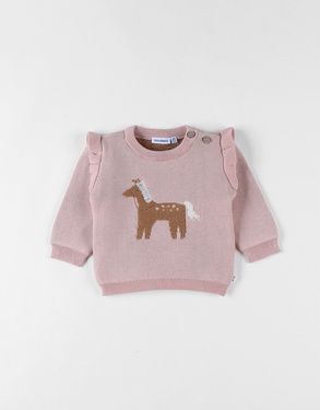 Pull en tricot, cheval