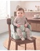 Waterproof Booster Seat